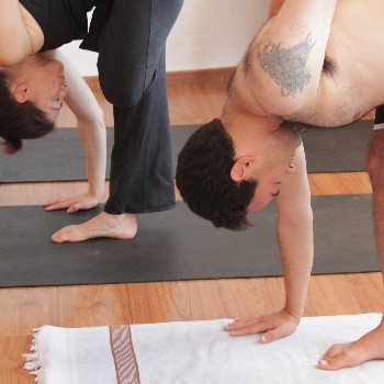 ardhabadhapadmottanasana yoga rocks