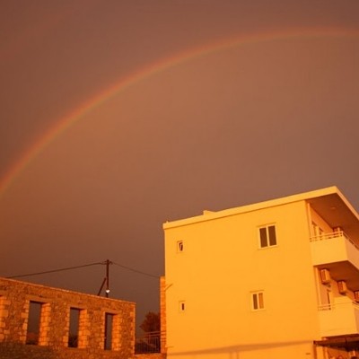 david lurey rainbow 2010