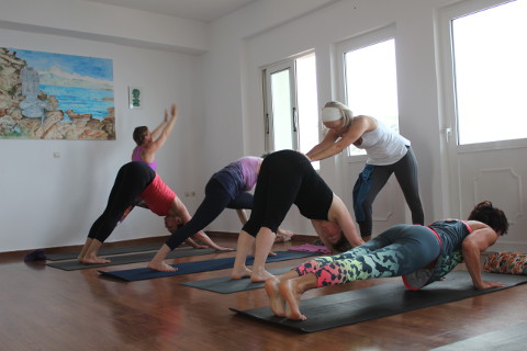 Chaturanga dandasana lovely alignment Mysore style