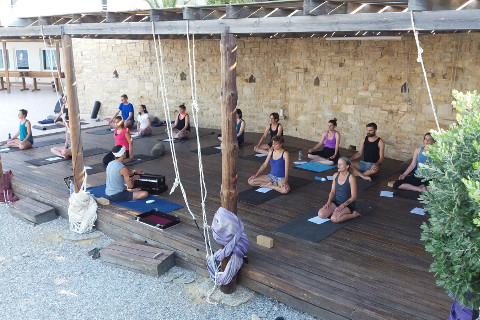 Chanting with Patrick on harmonium at Yoga Rocks