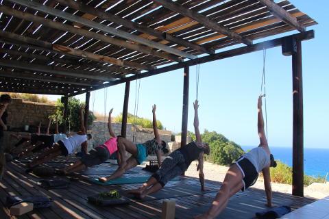 Vasistasana on yoga retreat