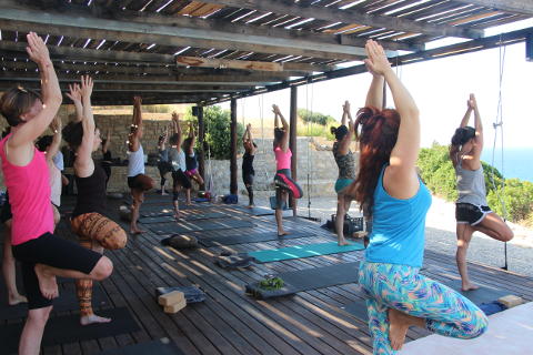 Vrksasana or tree pose on yoga holiday at Yoga Rocks