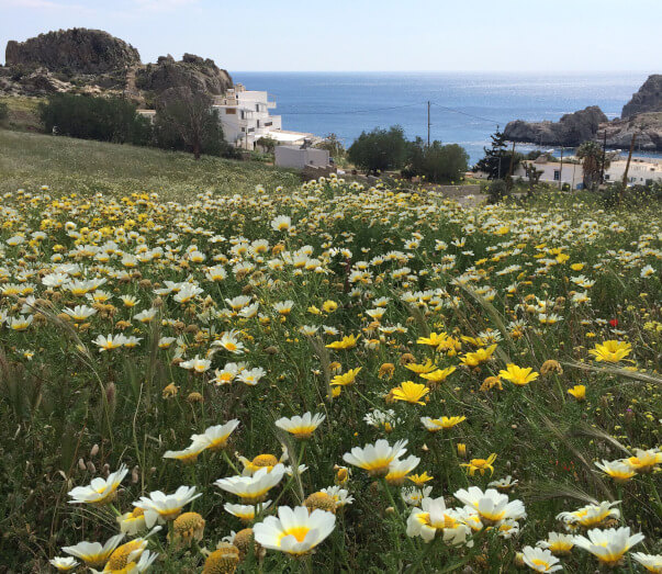 Yoga Rocks from the road driving down to Agios Pavlos