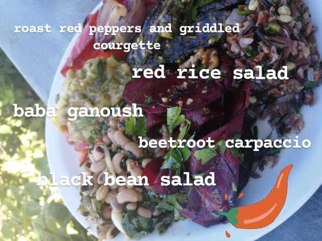 Delicious bean and rice salads with roast veg and baba ganoush