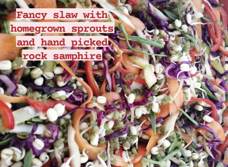 Fancy raw slaw with sprouts, sea fennel and more on yoga retreat