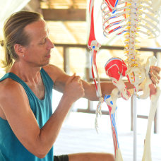 Yoga anatomy and therapeutics with Jonas Westring