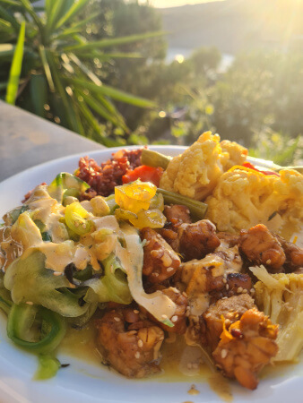 Absolutely delcious asian influenced cuisine at Yoga Rocks with homemade tempeh