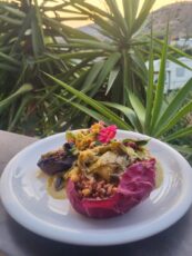 Plate of food at Yoga Rocks